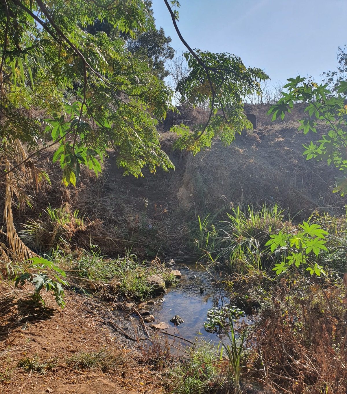 Read more about the article סיור בנחל הדס | הוד השרון