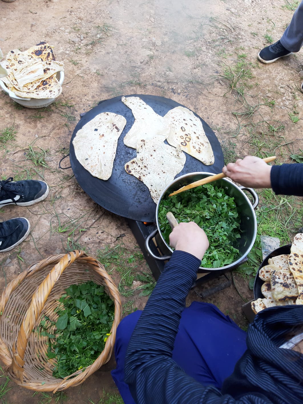 Read more about the article סיור ליקוט ליד הנחל | הוד השרון