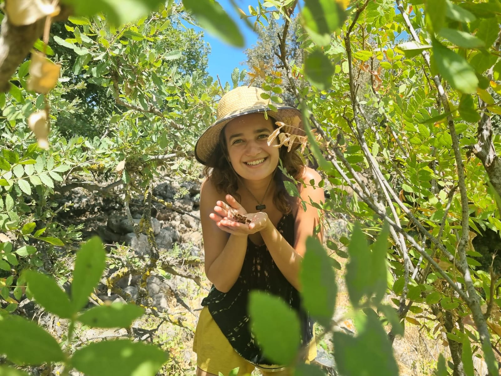 Read more about the article סיור ליקוט צמחי מרפא | הוד השרון