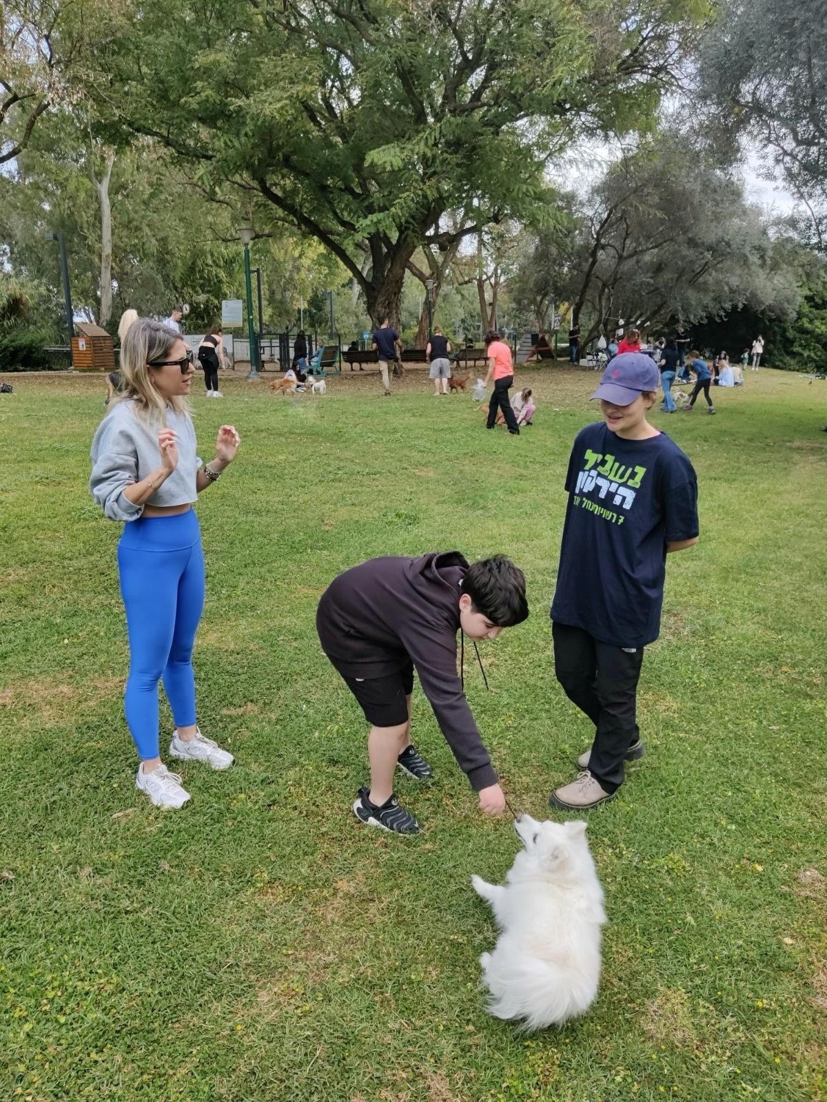 Read more about the article סדנת אילוף כלבים בירקון | רמת גן