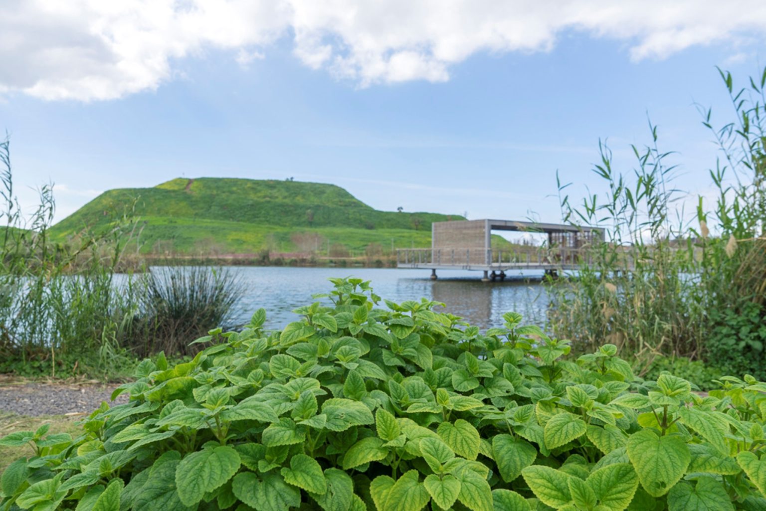 Read more about the article סיור בפארק האקולוגי | הוד השרון