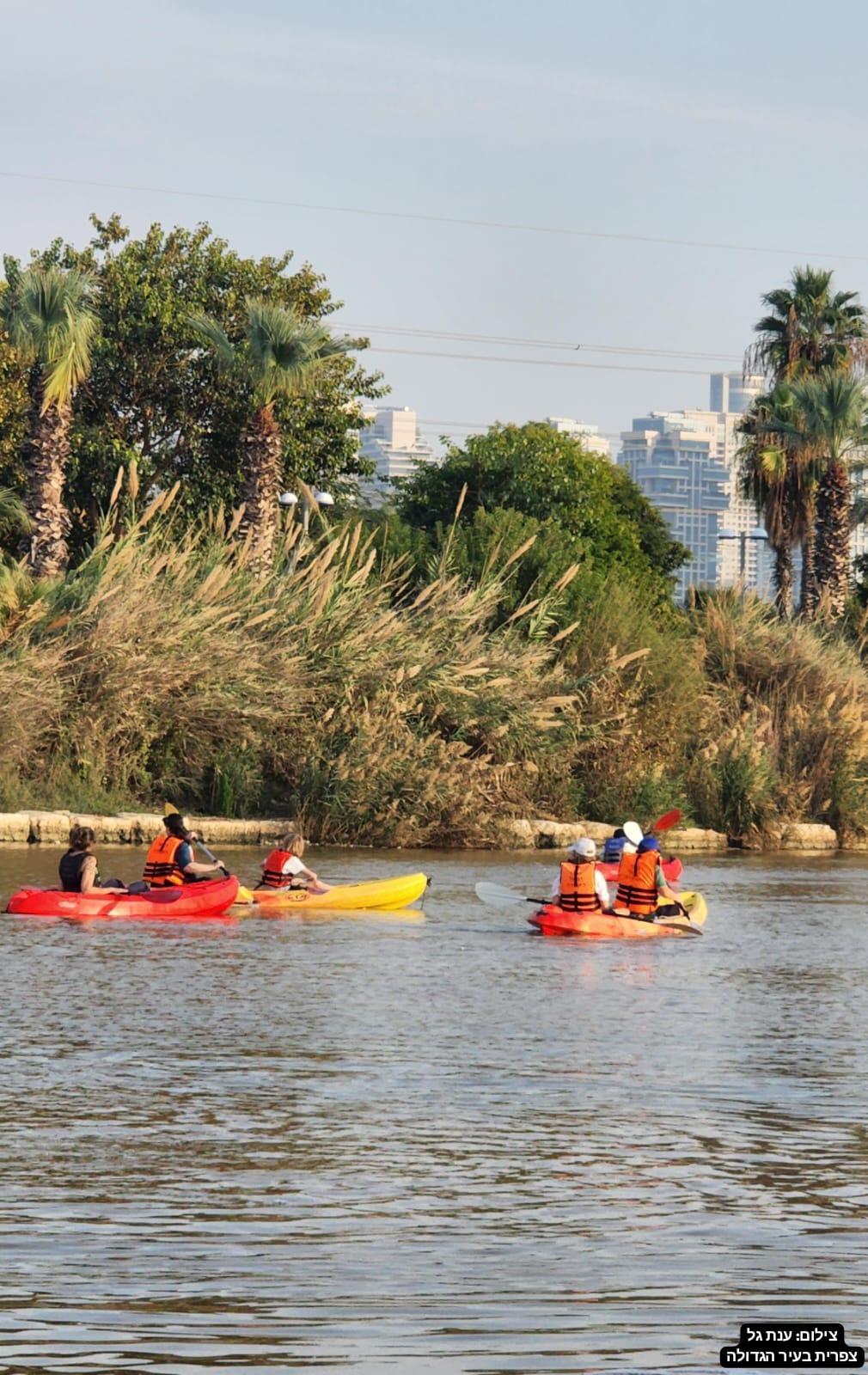 Read more about the article סיור טבע עירוני בקיאקים וניקוי חופים | תל אביב-יפו & מרכז דניאל לחתירה