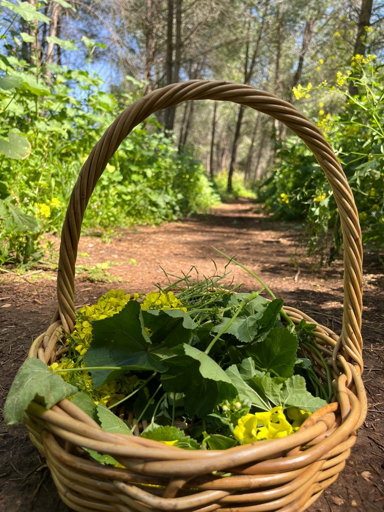 Read more about the article סיור ליקוט בנחל פרדסים | רמת השרון