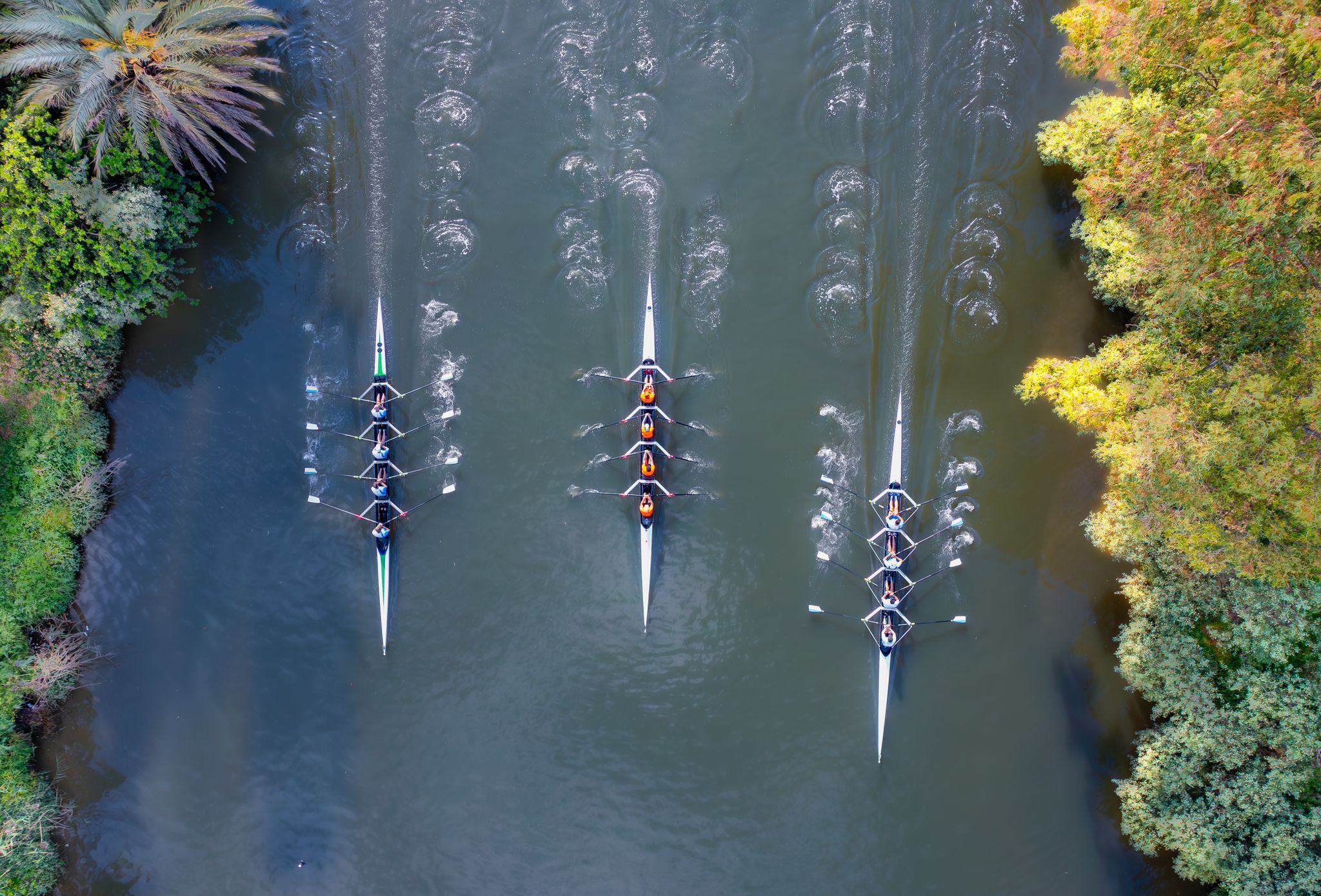 Read more about the article אליפות ישראל בחתירה | מועדון השייטים תל אביב