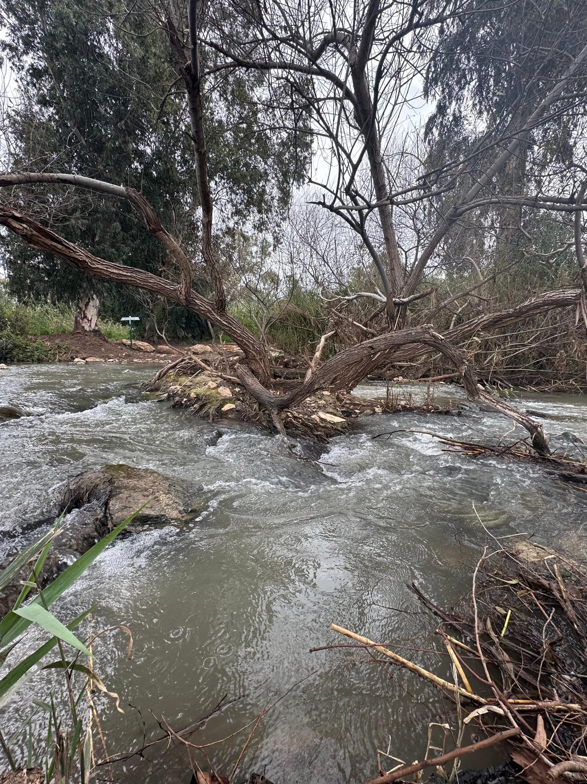 Read more about the article סיור לאתר מורשת בית לאה – נחל הירקון | המועצה לשימור אתרי מורשת בישראל & דרום השרון