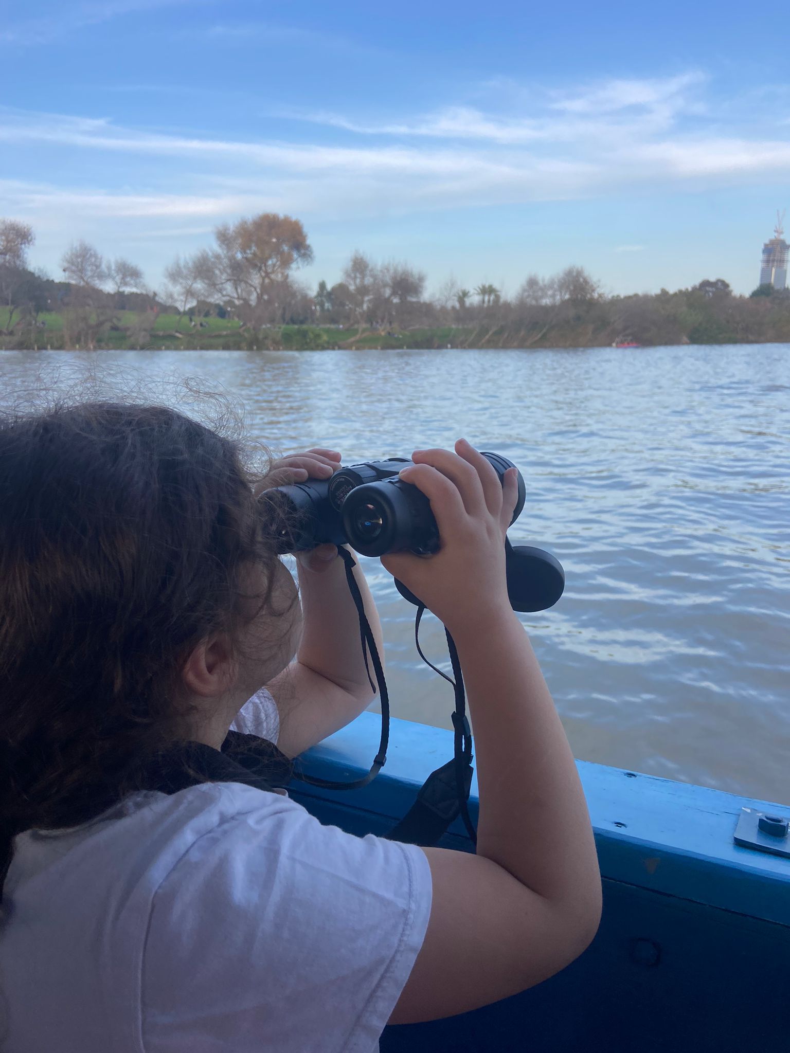 Read more about the article שטים עם ציפורים באגם | גני יהושע