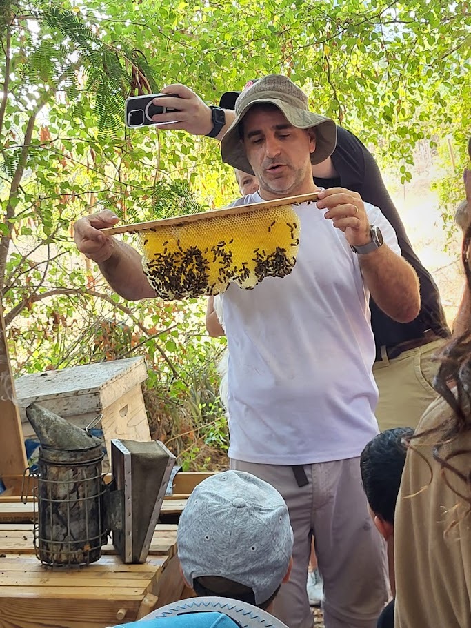 Read more about the article דבורים – חשיפה לעולמן המופלא | תל אביב-יפו