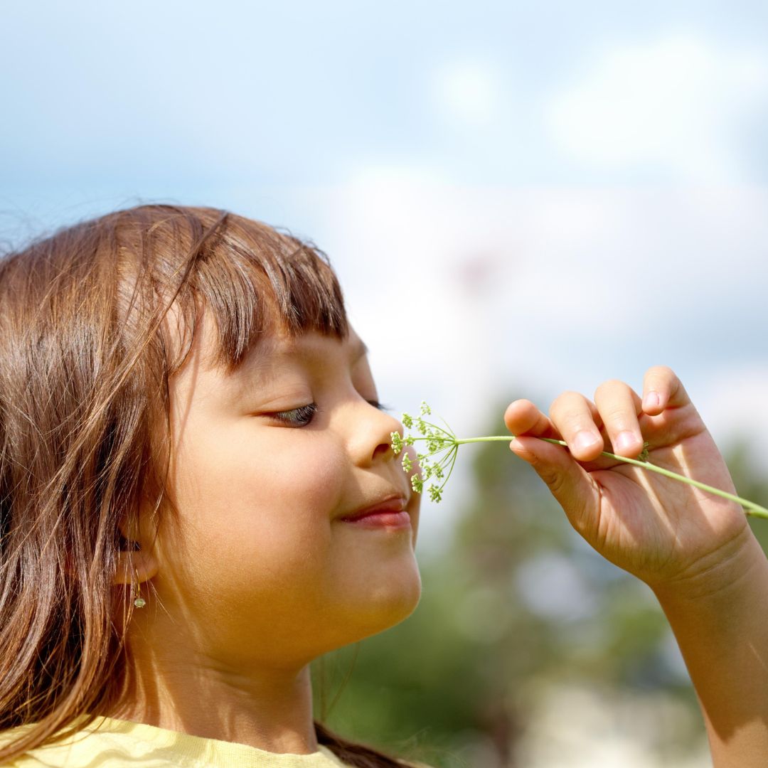 Read more about the article חמשת החושים על גדות הירקון | כנפי קק"ל & גני יהושע