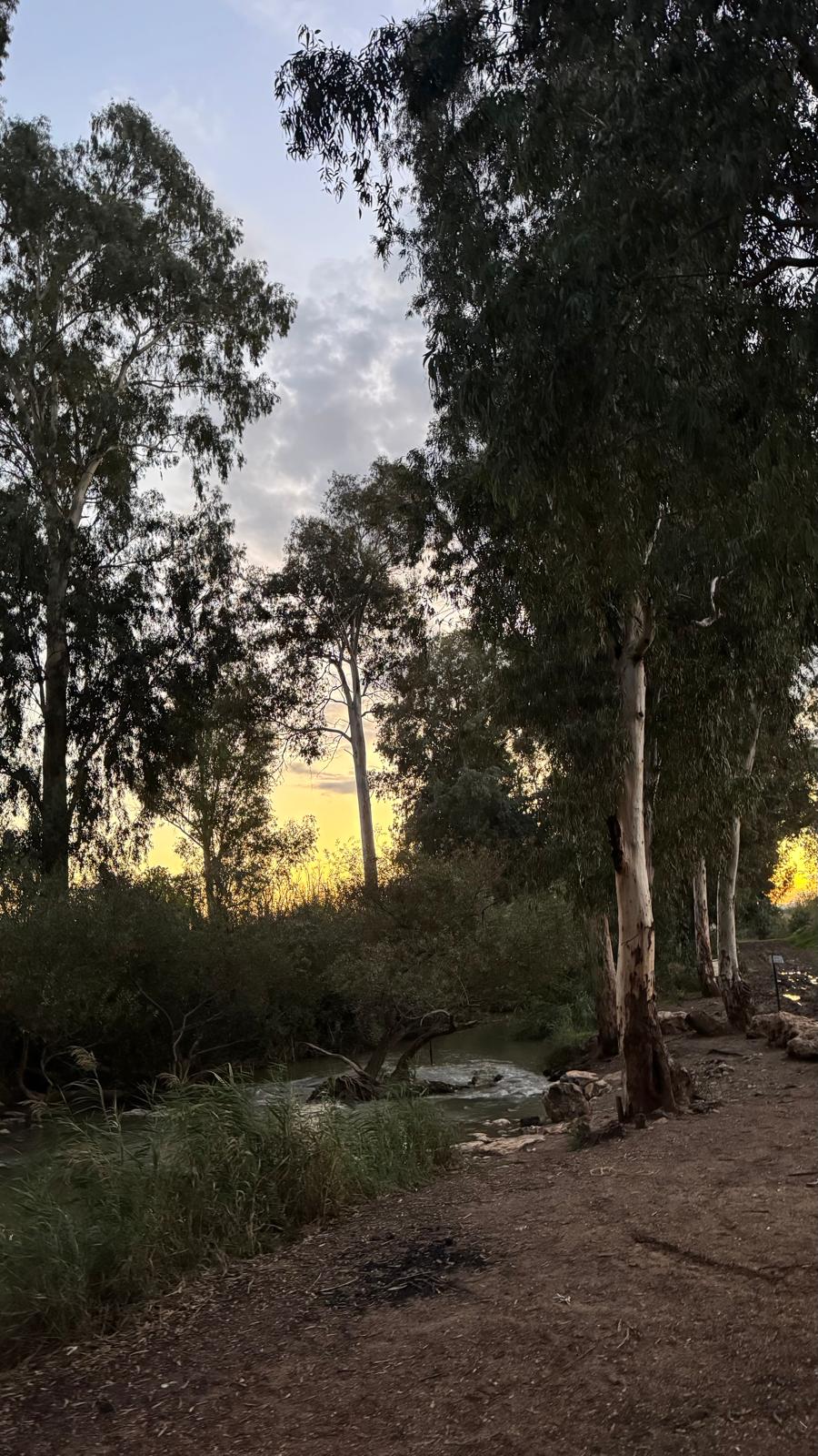 Read more about the article צלילים מרפאים | דרום השרון