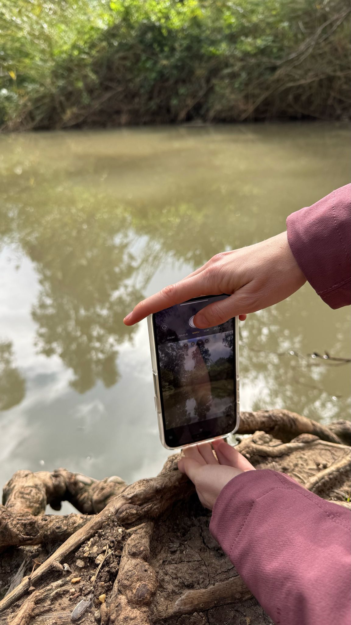 Read more about the article מצלמים על הנחל | דרום השרון