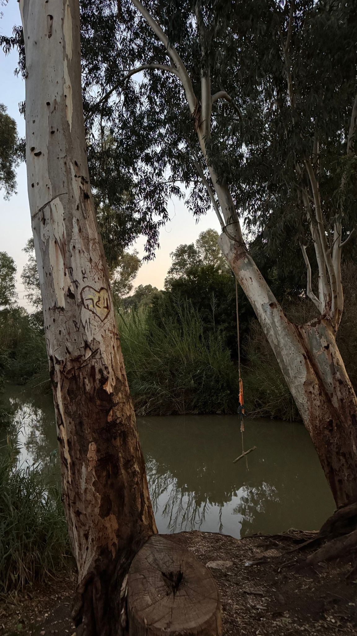 Read more about the article סיור חושך וגחליליות בירקון | דרום השרון & היחידה האזורית לאיכות הסביבה בשרון