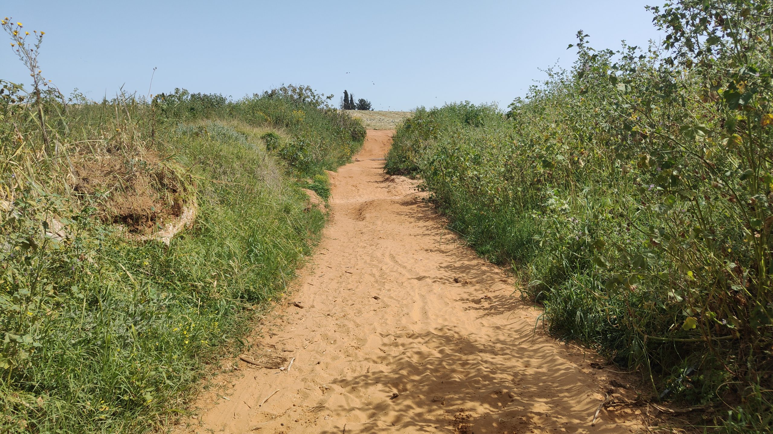 Read more about the article סיור בנחל פרדסים בעקבות המדריך לנחלים עירוניים בשילוב פעילות ליקוט למשפחות | החברה להגנת הטבע & רמת השרון & תל אביב-יפו