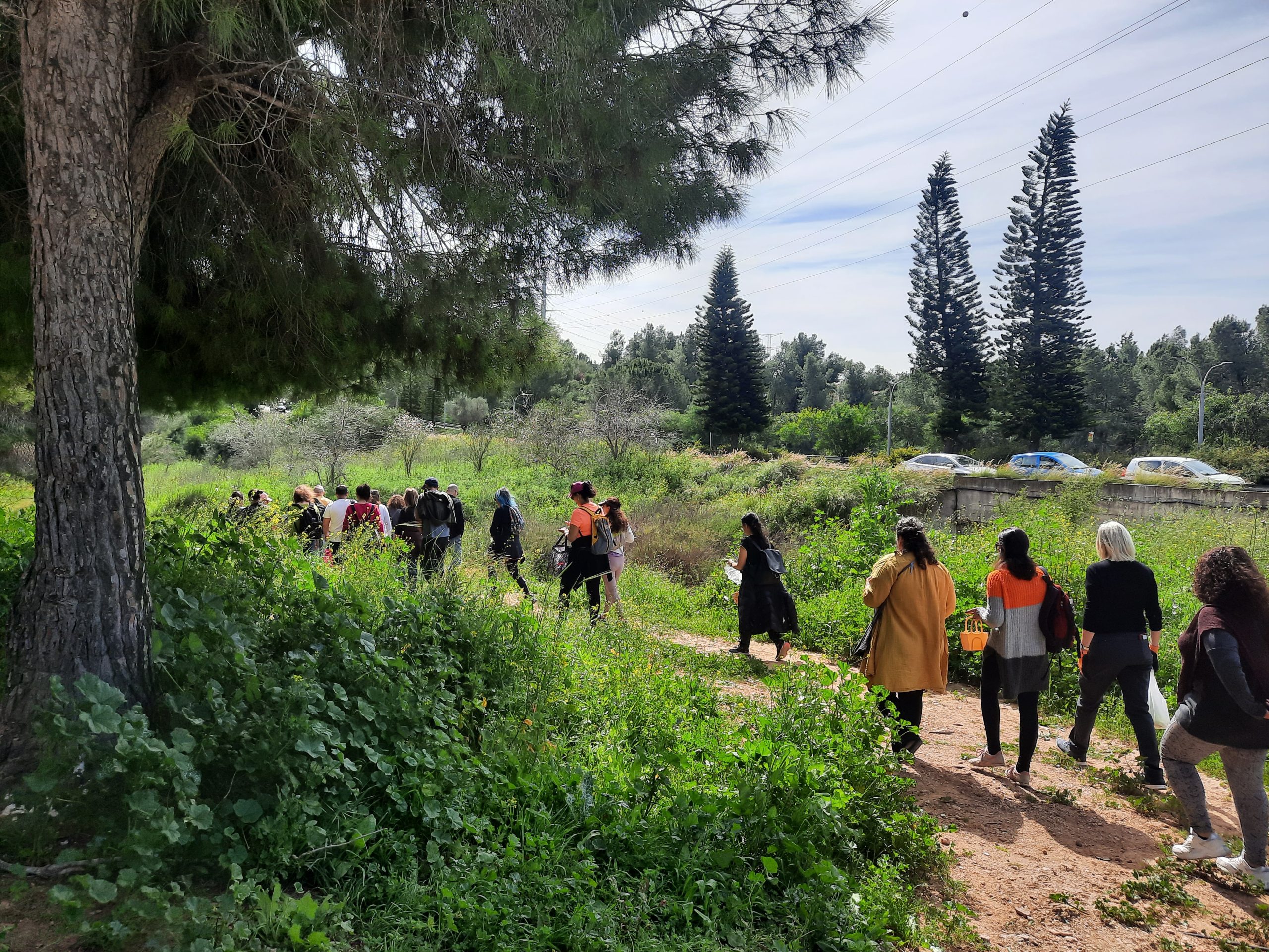 Read more about the article סיור ליקוט למבוגרים בנחל רבה | ראש העין