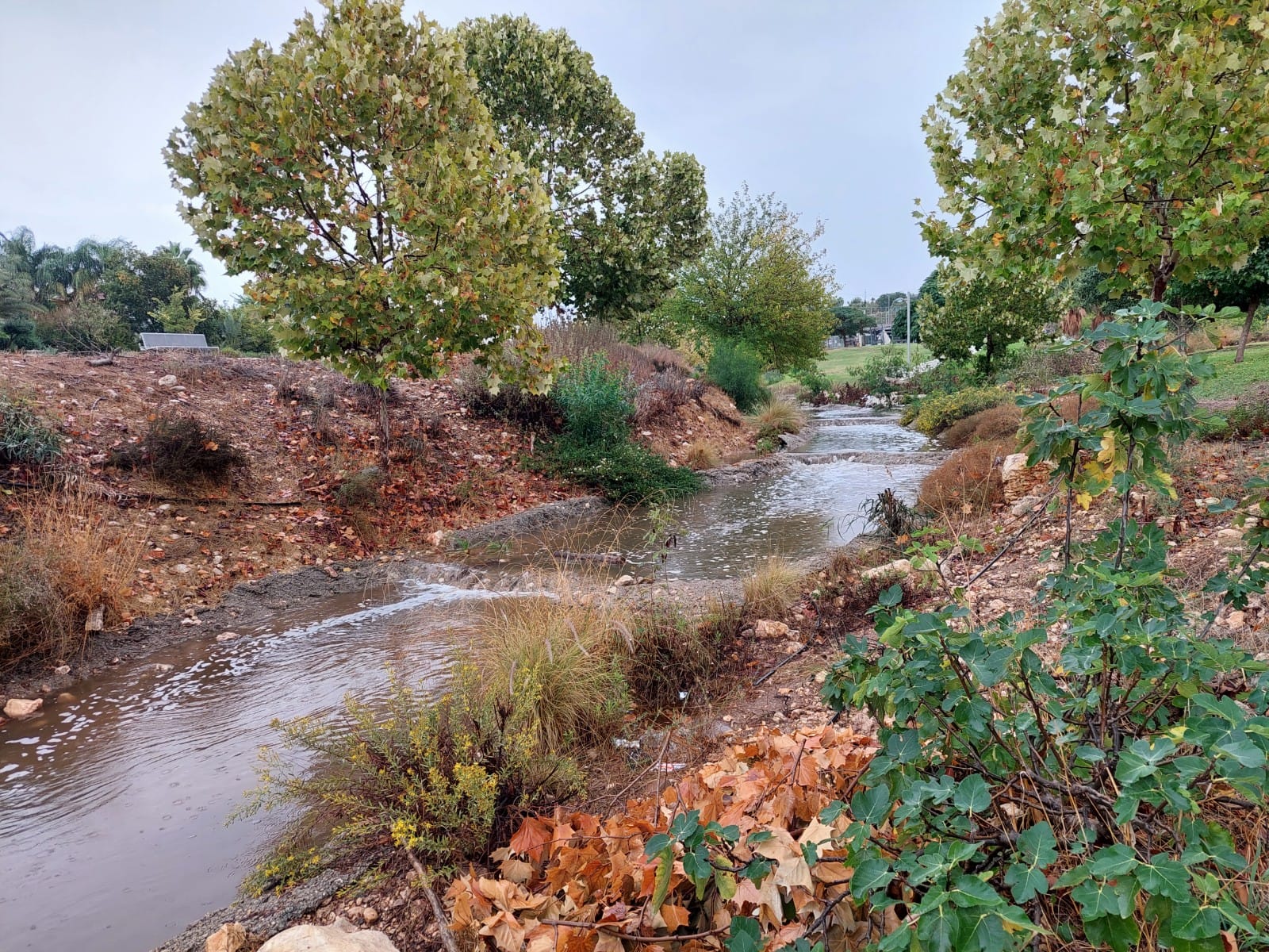 Read more about the article סיור טבע בנחל וביער | ראש העין